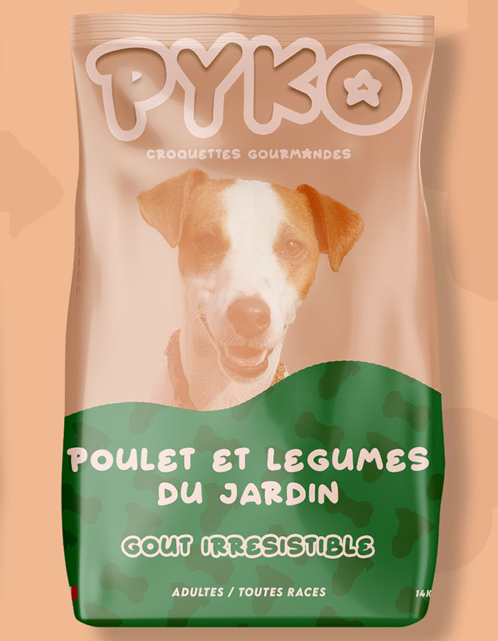 croquettes au poulet