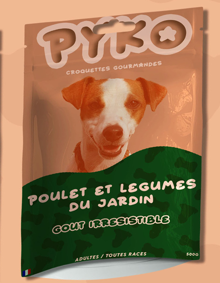 croquettes au poulet